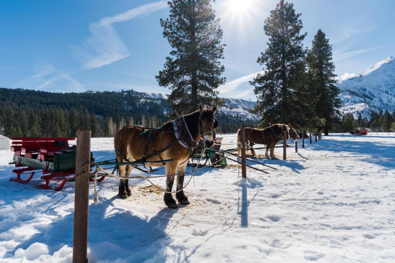 Aspen Suites 506: The Nest Leavenworth Eksteriør billede